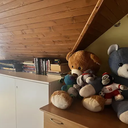 Ruzbasky Guest house 3*