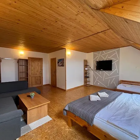 Guest house Ruzbasky 3*